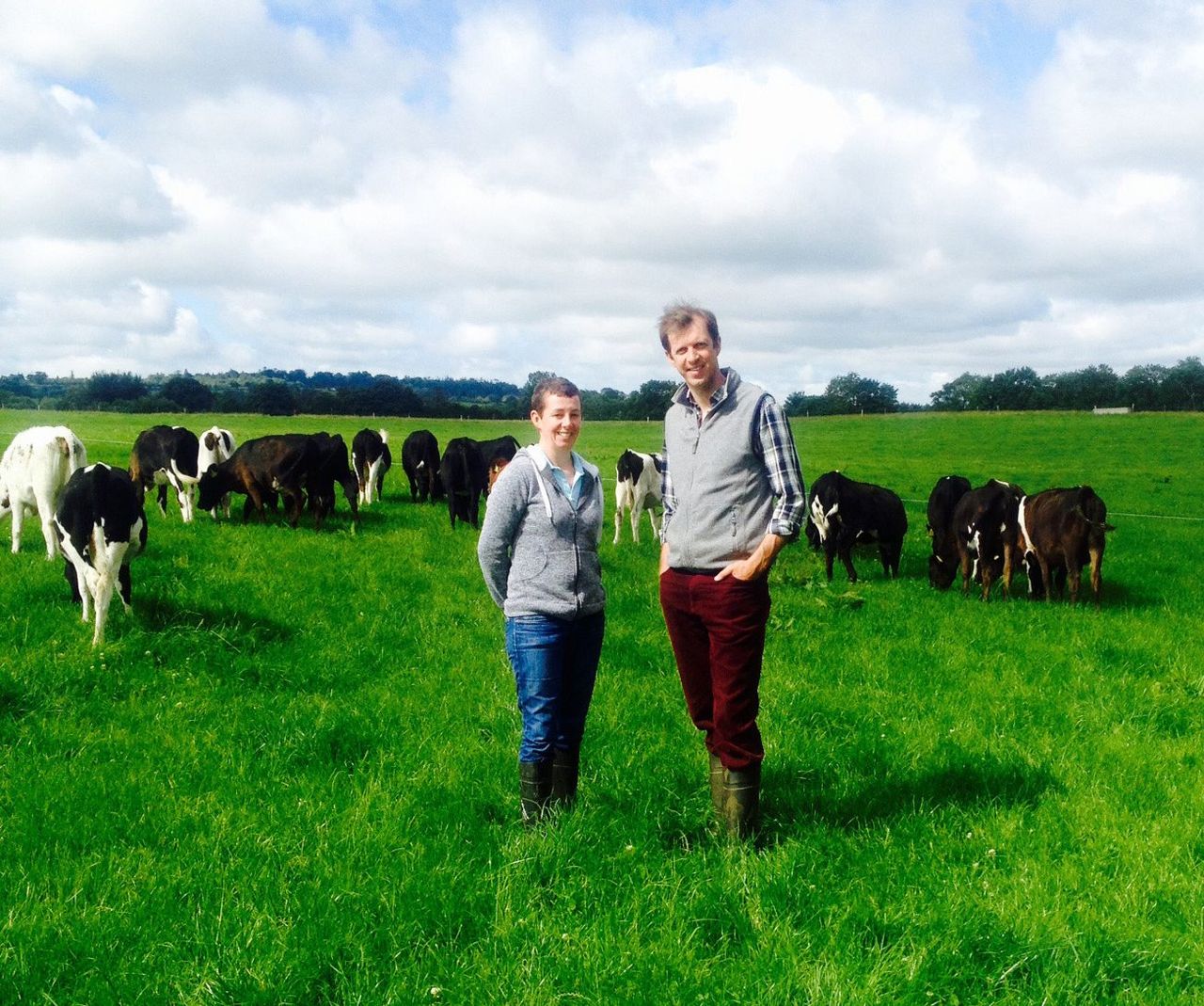 Video: An 800-dairy-cow herd features on tonight's Ear to the Ground