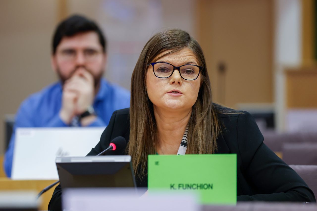 Watch: MEP - no faith in EU to enforce Mercosur safeguards