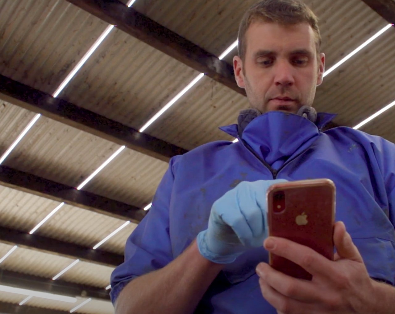 Technology driving success on Co. Tyrone farm