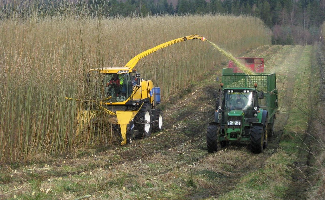 'Tillage farmers will not be scapegoated again with another hare-brained scheme'
