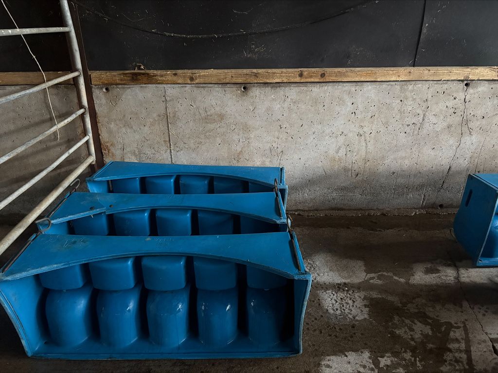 Sheds and feeders being washed and disinfected on the ABP Demo Farm ahead of the arrival of the spring 2026 calves