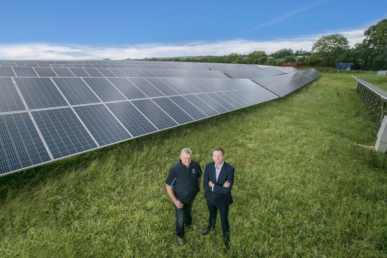 37ac solar farm powering Dale Farm's cheddar cheese plant
