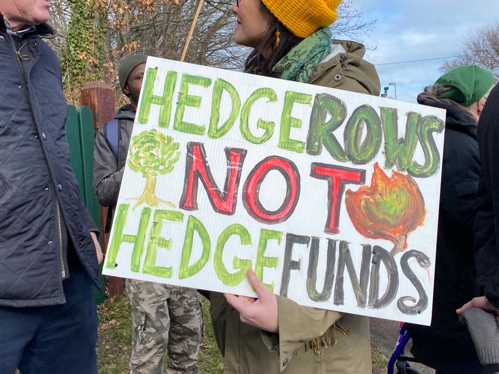 Video: Save our Forests Alliance protests at Coillte HQ