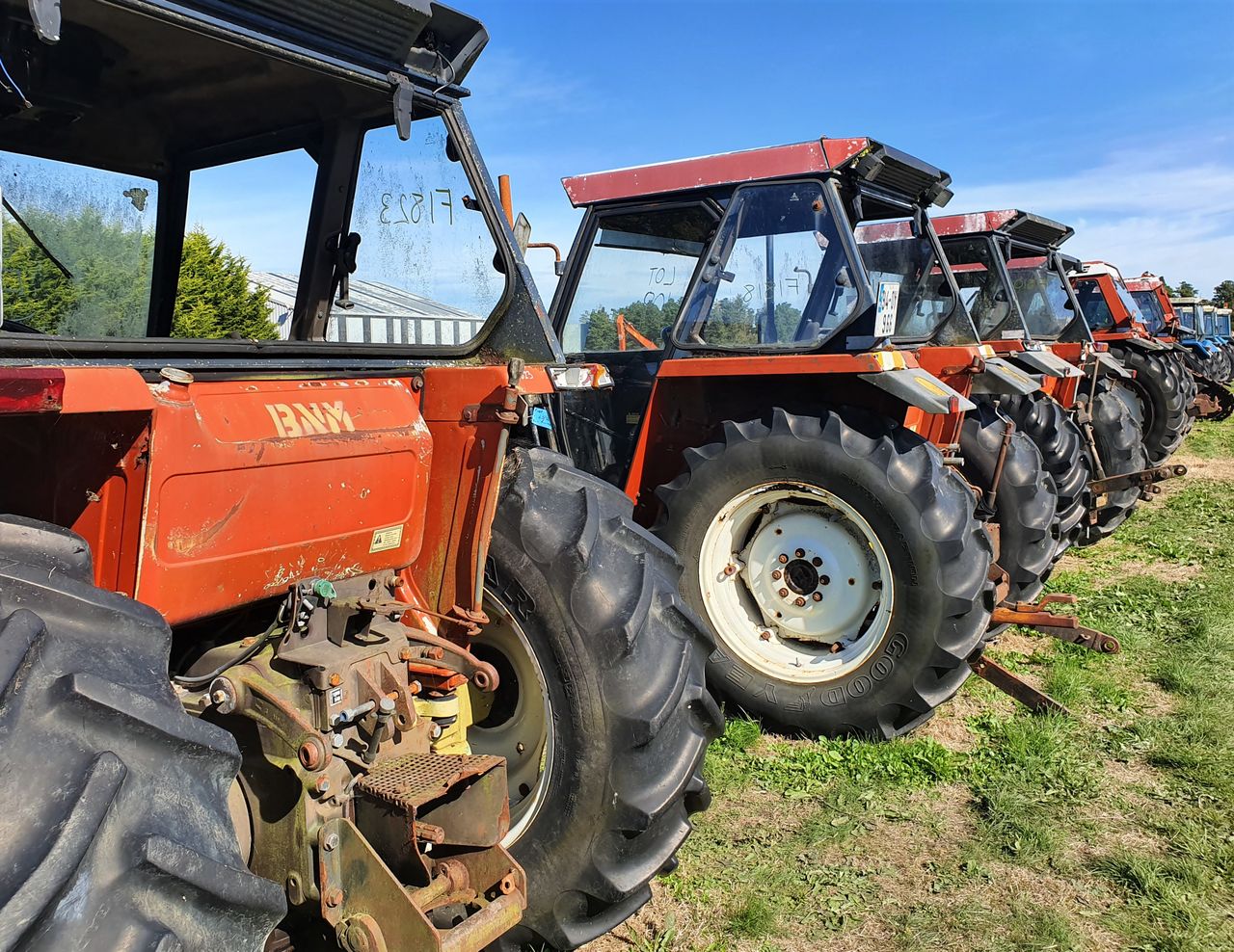 Auction report: Fatigued Fiats 'under the hammer' at Bord Na Móna