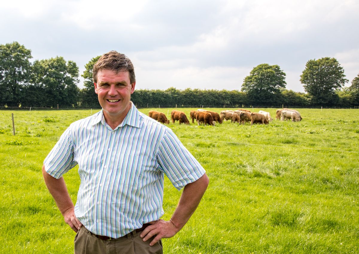 Pics: Maximising profitability from a suckler-to-beef herd