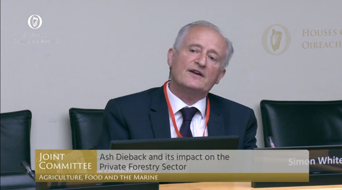 Ash dieback: 'No attempt made to address horrendous mess ash growers face'