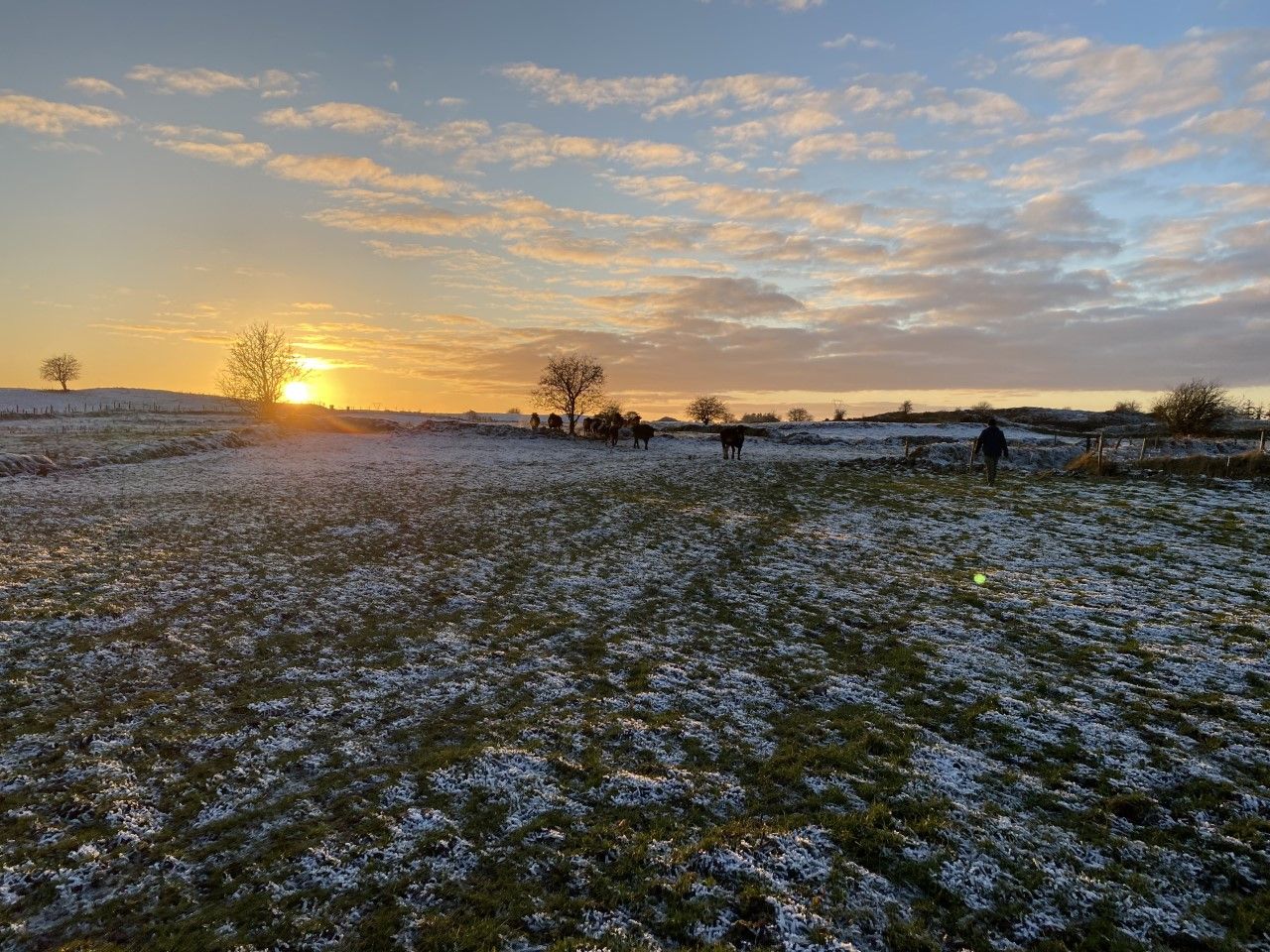 Cold snap with temperatures below freezing next week