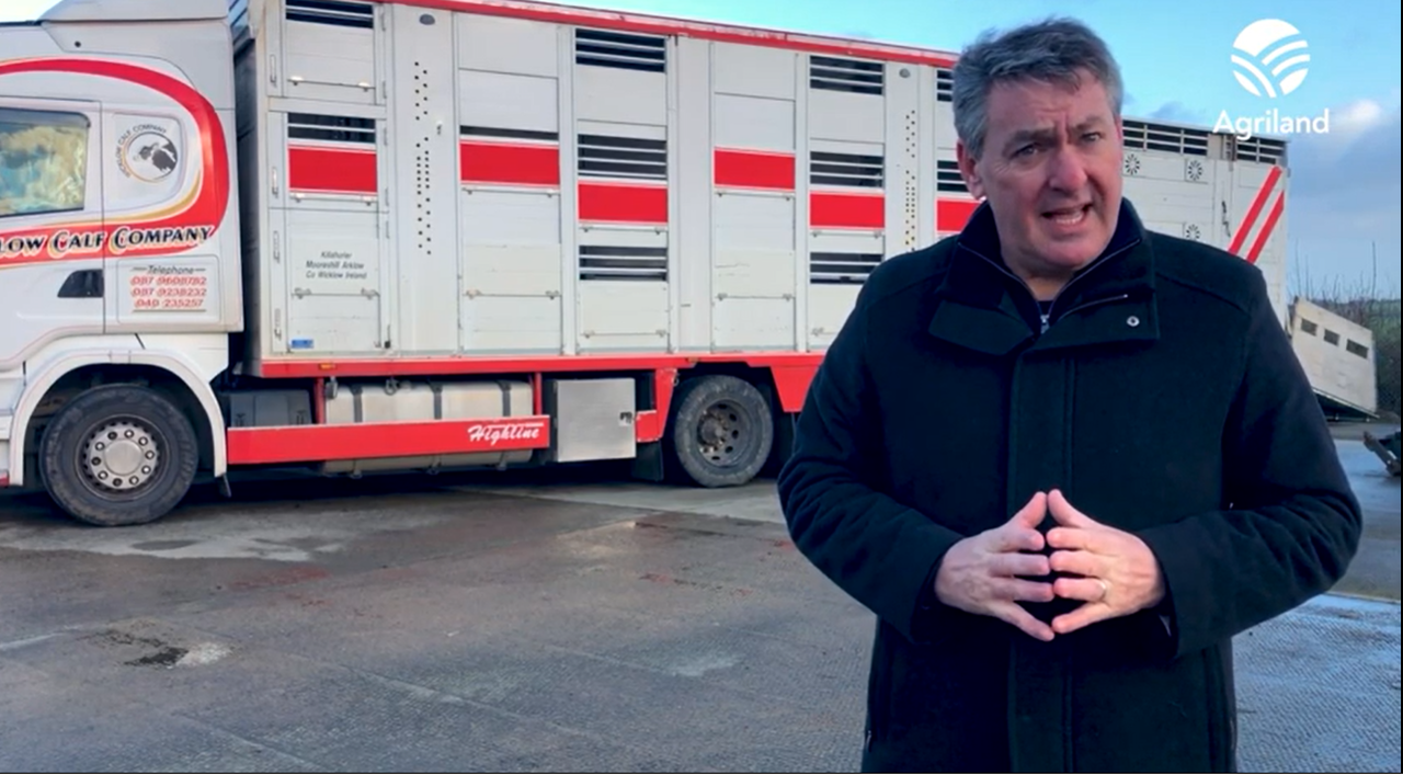 Video: MEP outlines his proposals for new EU animal transport rules