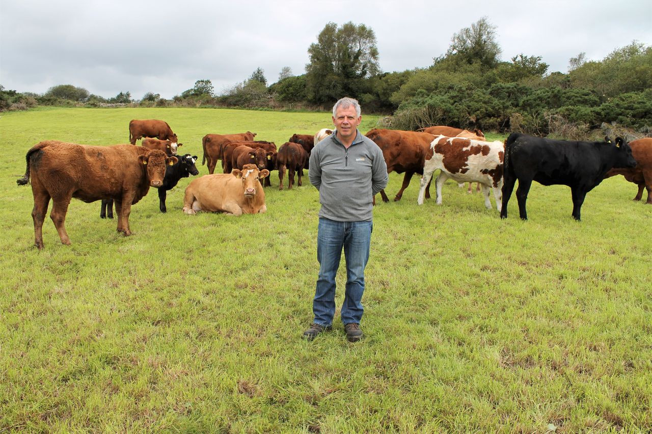 'I've done it all and I can't make a penny' - top performing suckler farmer