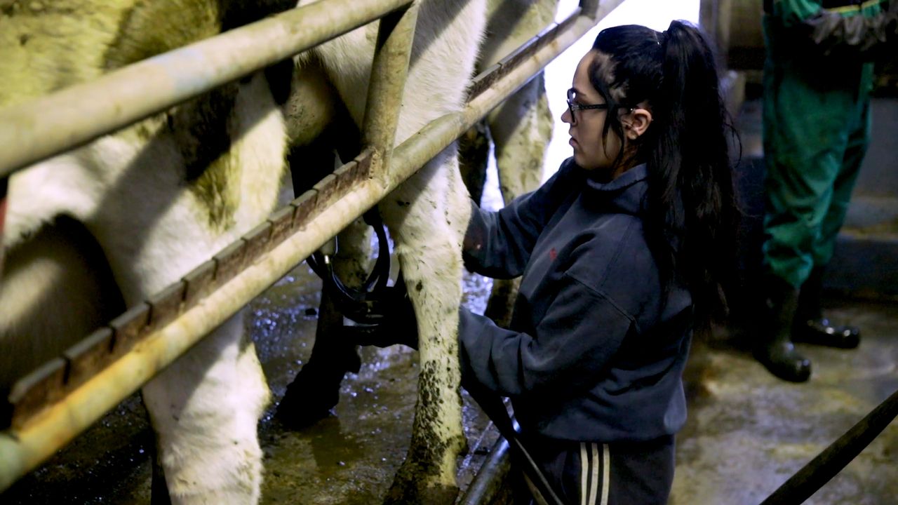 Time to review the farm's standard operating procedures