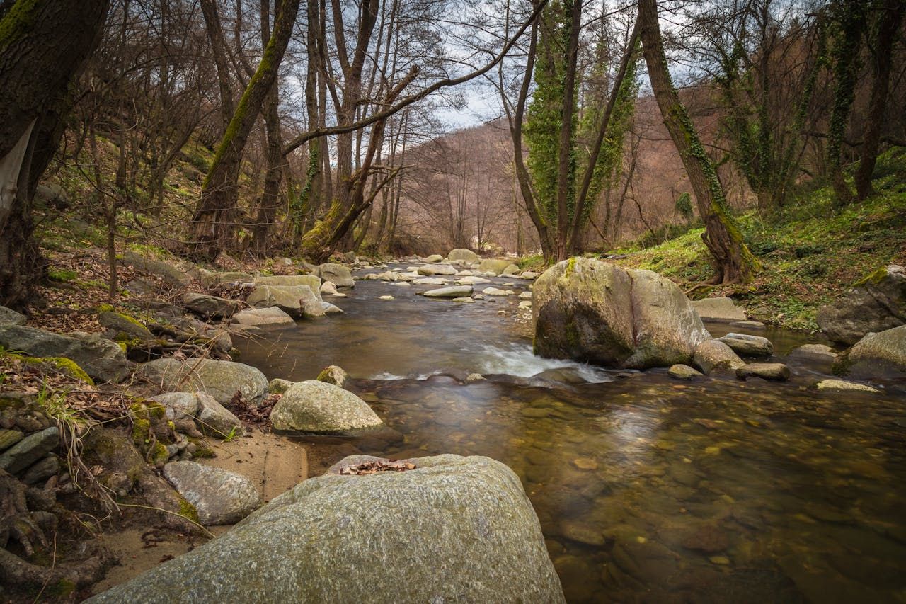 Report: Local solutions, info and incentives crucial for water quality