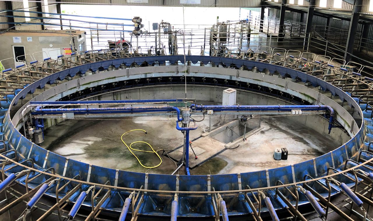 Dairy conference: 'Two-thirds of expansion has come from greater efficiency on farms'