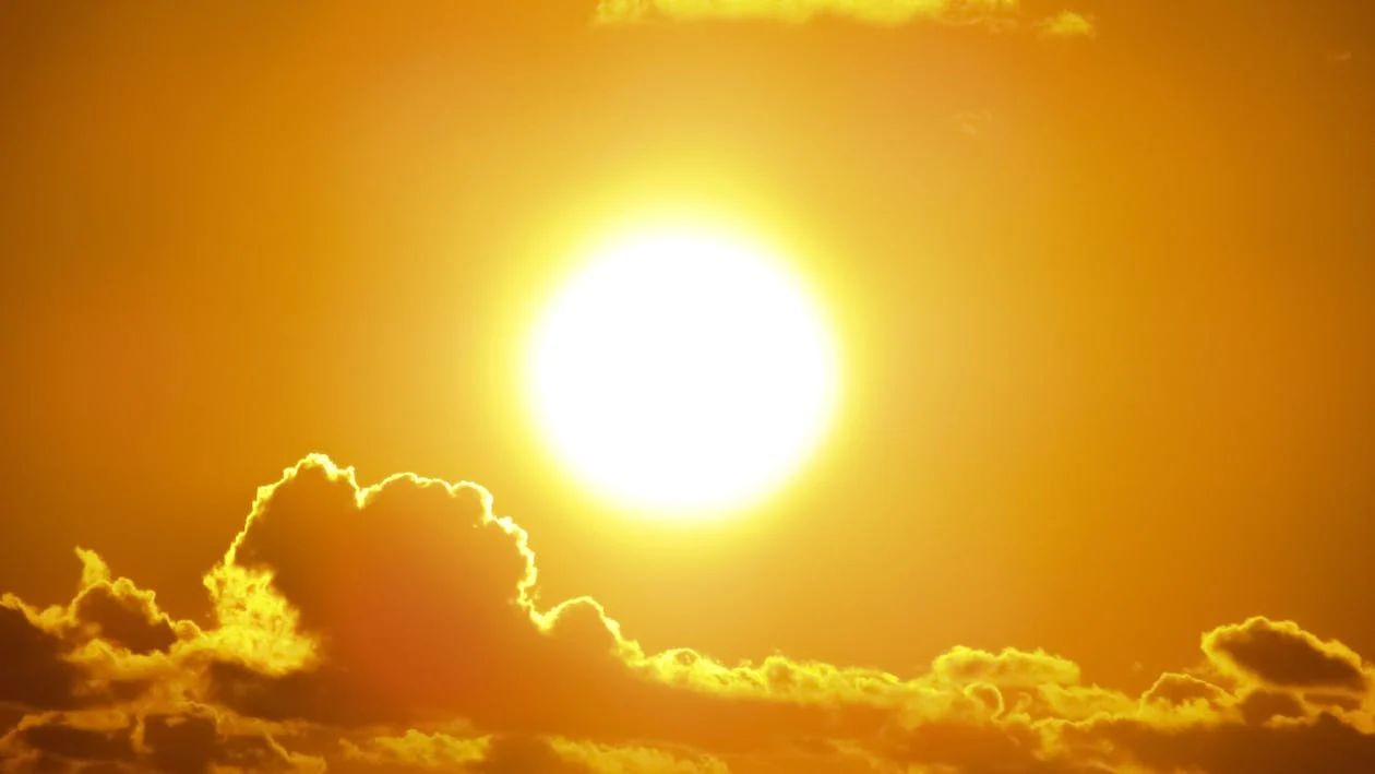Copernicus: 2024 expected to be 'warmest year' to date