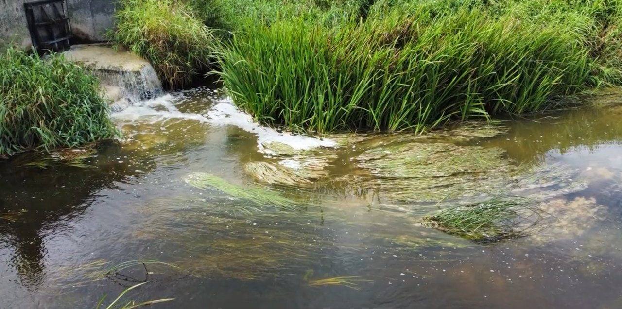 EPA: 6 food and drink sites subject to 'targeted enforcement'