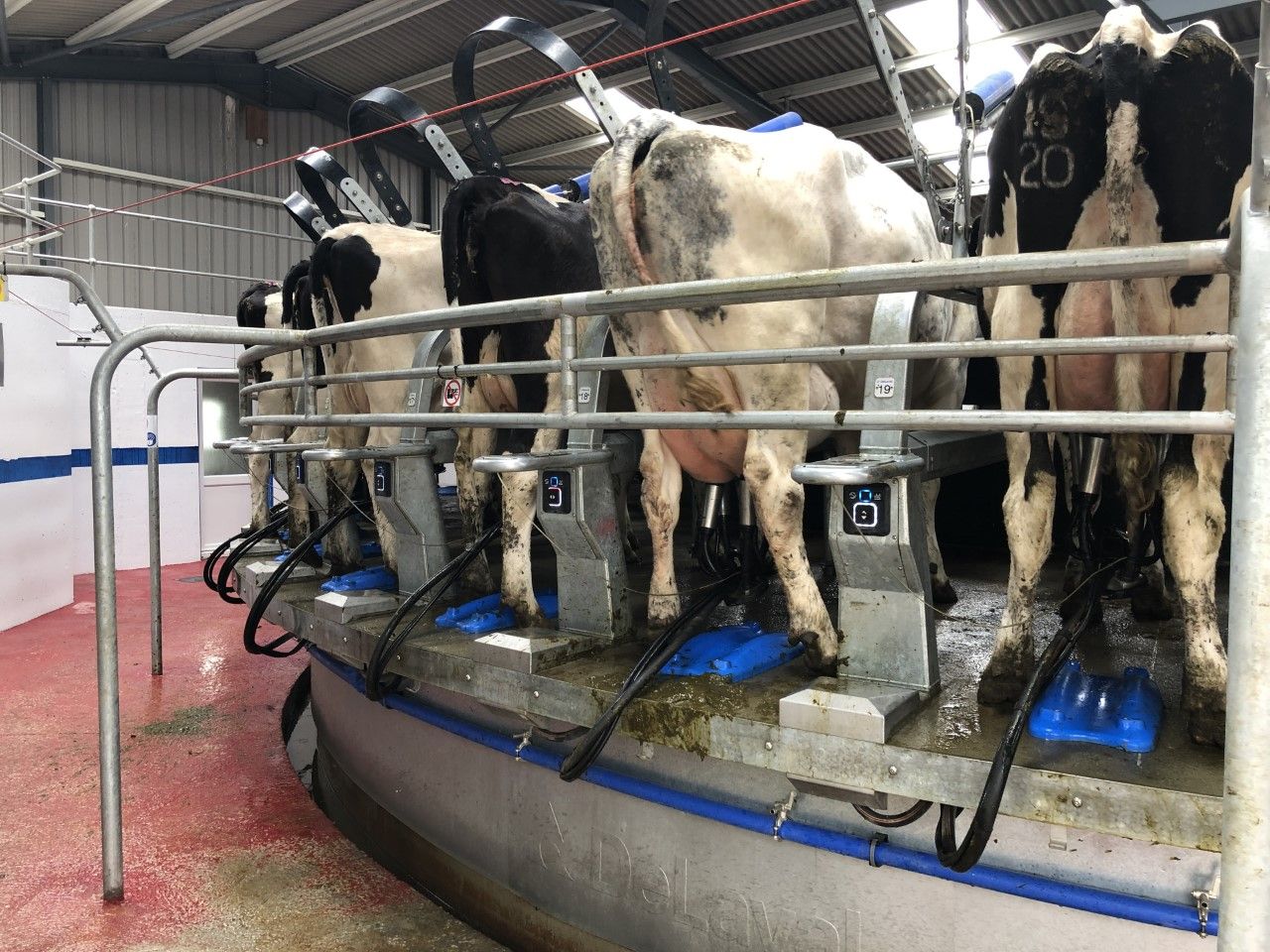 Glanbia announces details on new Fixed Milk Price Support Scheme