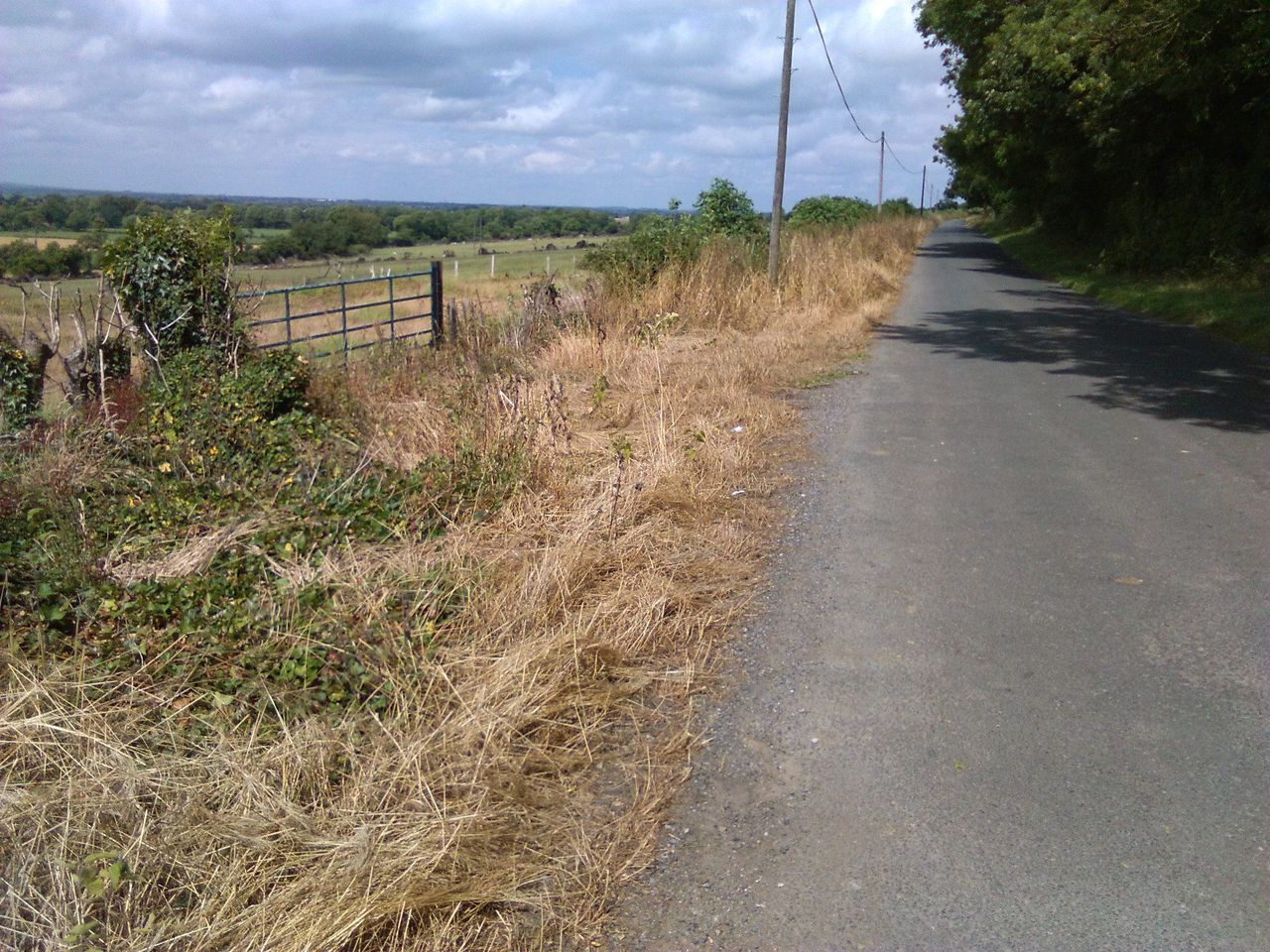 Kerry farm building levy ‘won’t raise enough for one road’