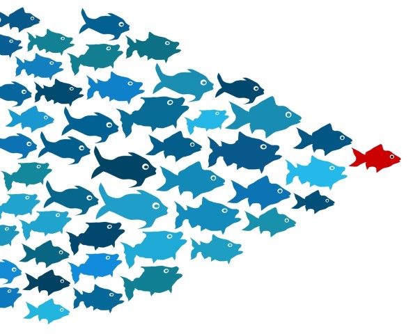 Irish seafood industry takes on China