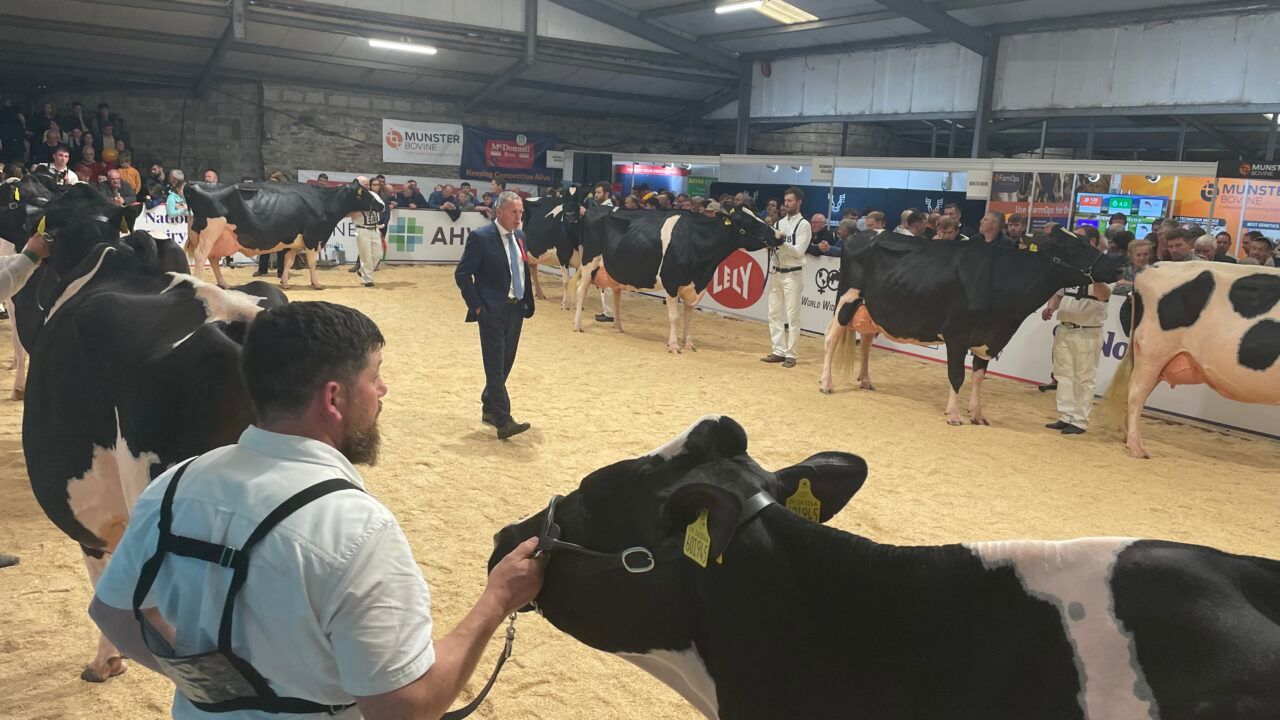 How to get to the AXA National Dairy Show