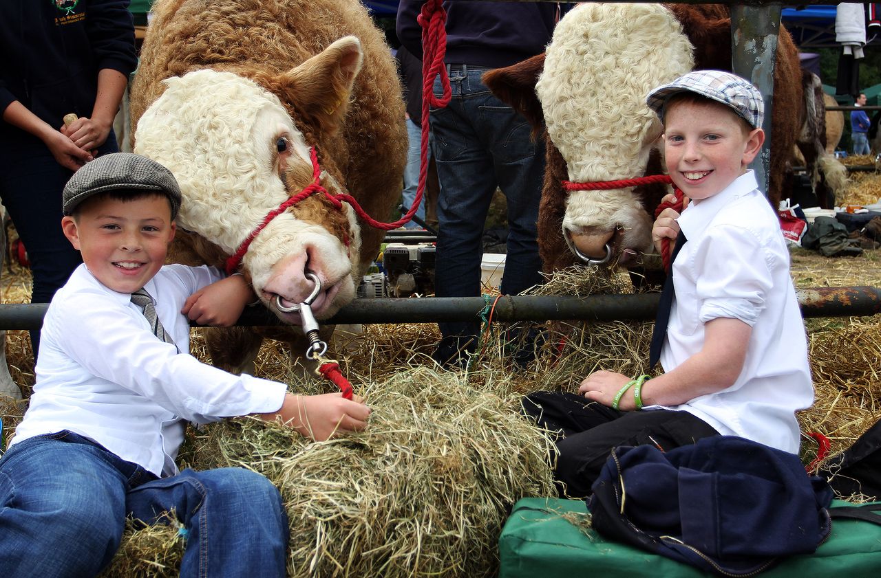 Virginia Agricultural Show set to celebrate its 77th birthday