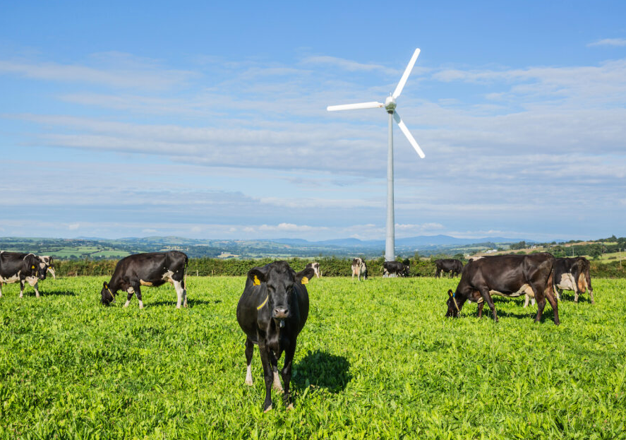 Carbery teams up with European agency to trial new methane-reducing tech