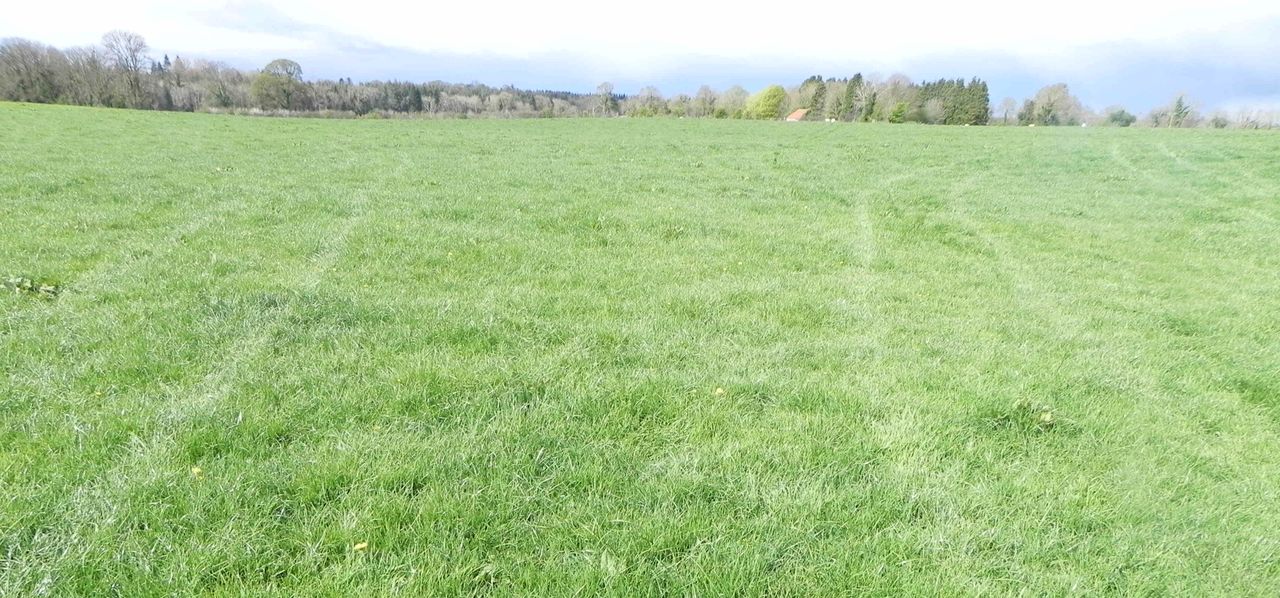 Looking for land in the heart of Co. Longford? Take your pick of 2...