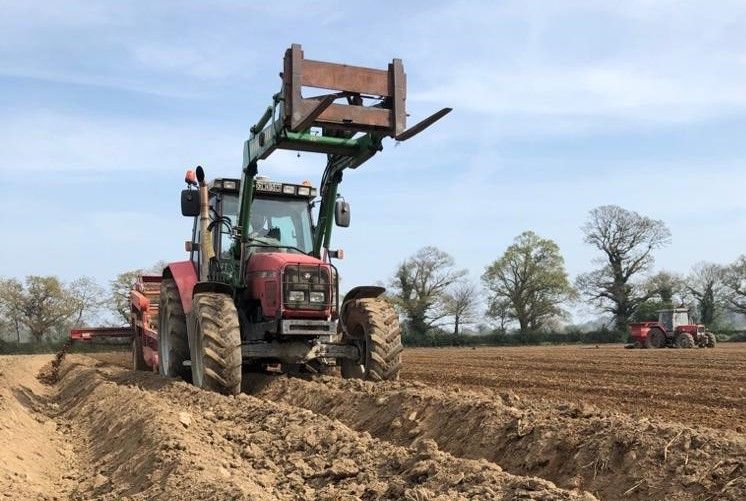 Retail trade strong, but processing stands still as potatoes are planted