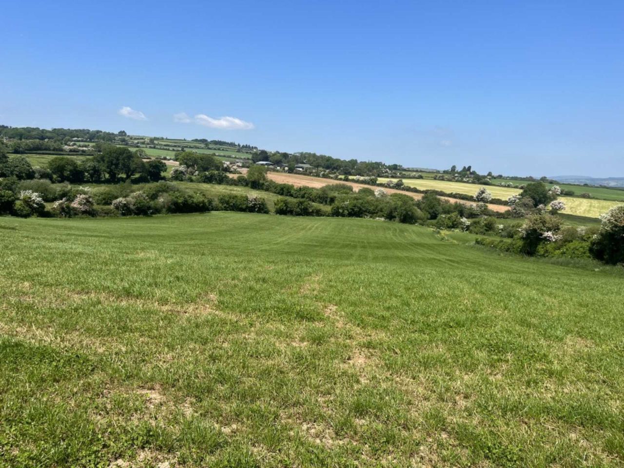 60ac roadside holding in New Ross hits the market