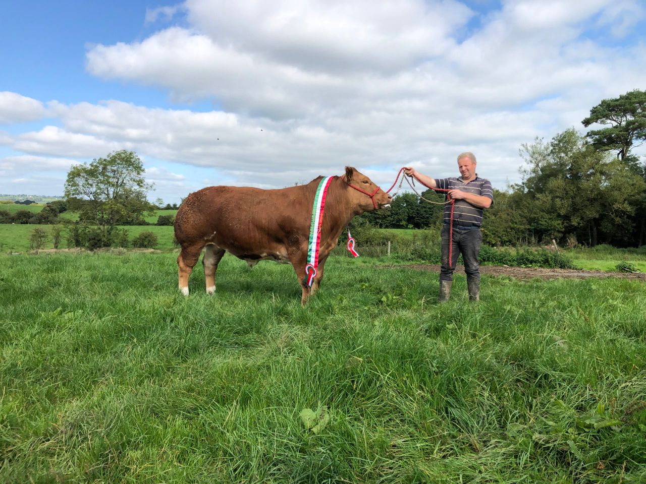 Beef Focus: Feeding show ring champion fatstock in Longford
