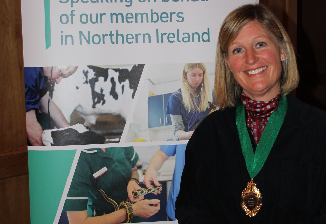 New president steps up to take on dual BVA NI and NIVA role