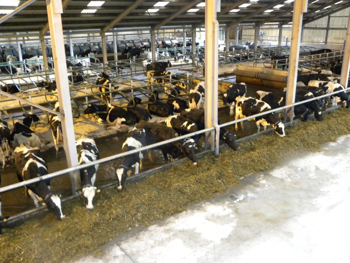 Minister launches booklet at Dairy Forum to help farmers plan cashflow better