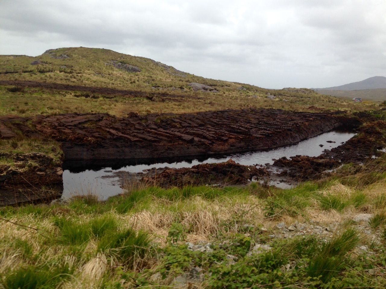 12 raised bog sites to benefit from EU funding of €5.4m