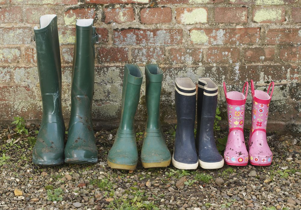 Do you qualify for the Young Farmers Scheme?