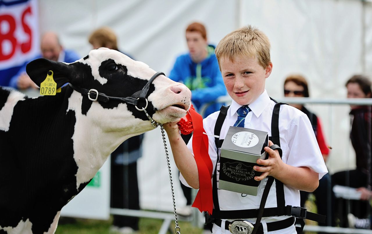 Winners at the Tullamore Show