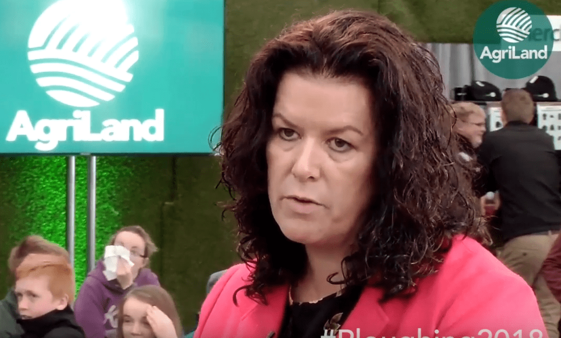 McHugh: Storm Ali and its impact on 'Ploughing 2018'