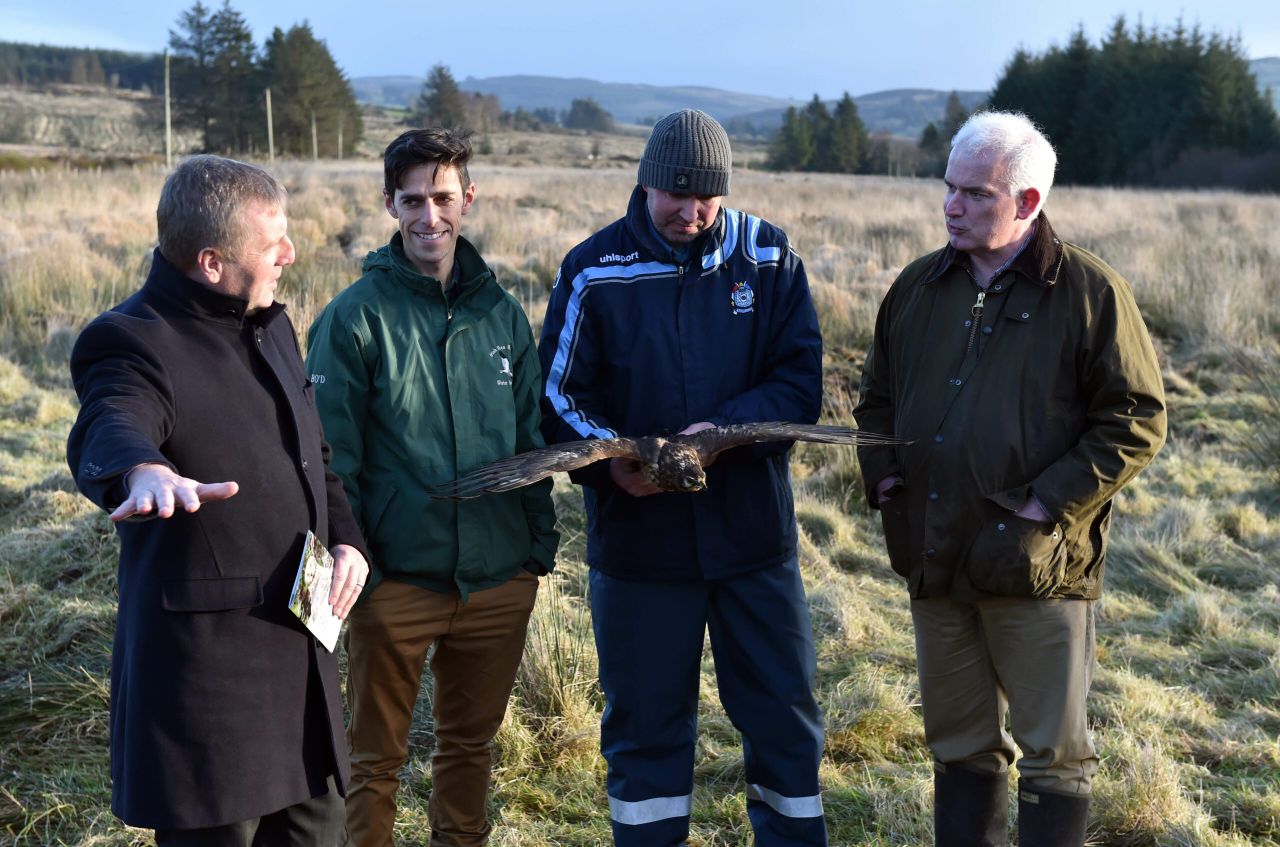 Hen Harrier Programme payments begin issuing to farmers