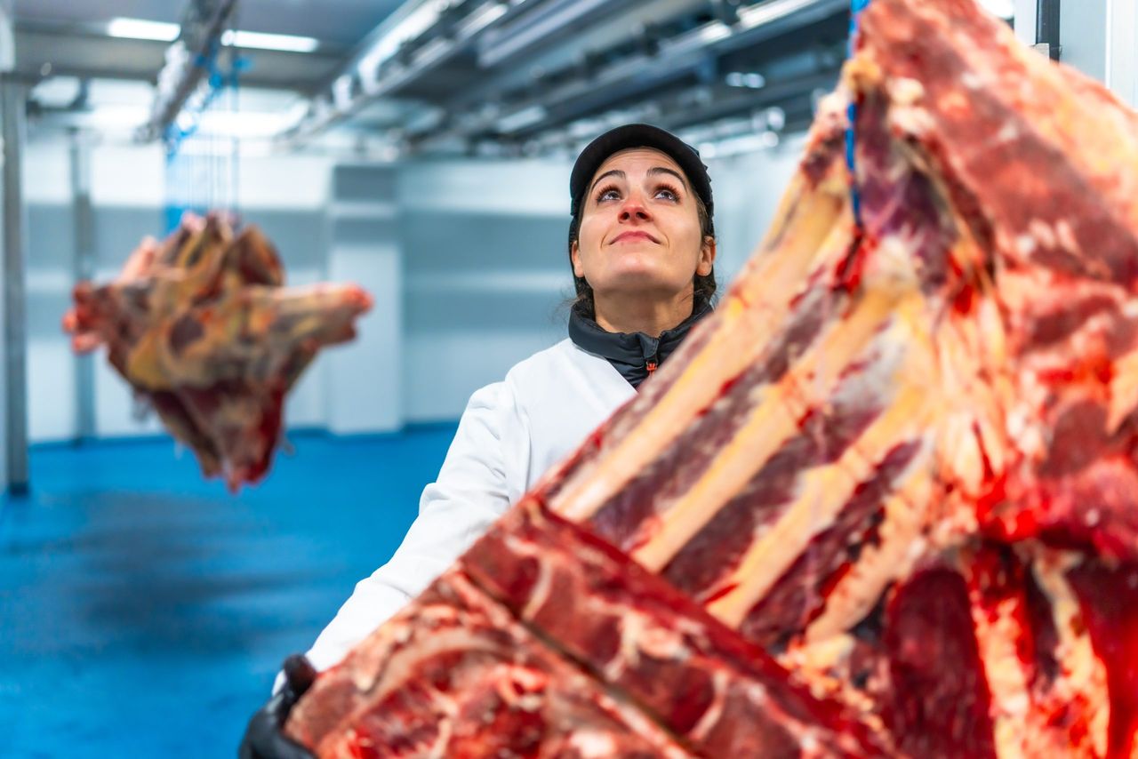 Beef and pork production to slow down in 2026 - report