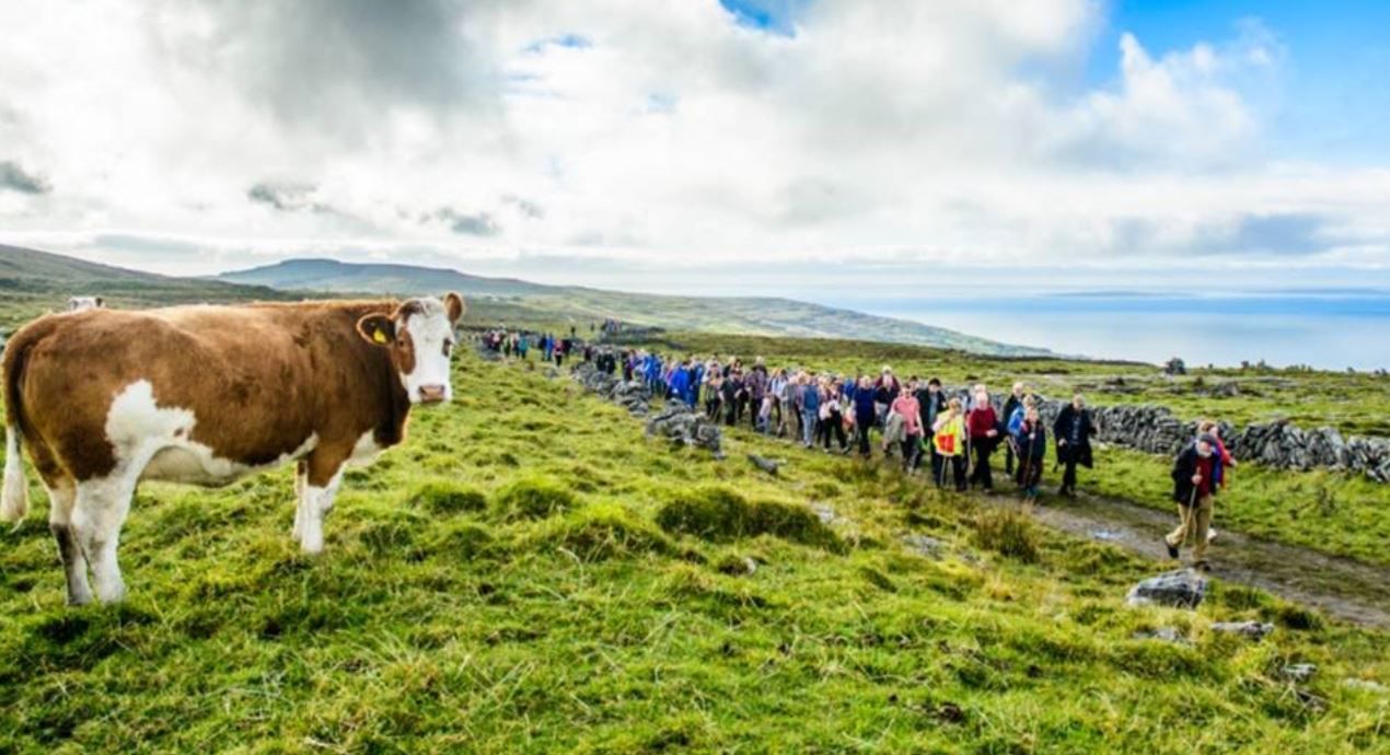Visitor parking issue causing Burren farmers 'undue hardship'