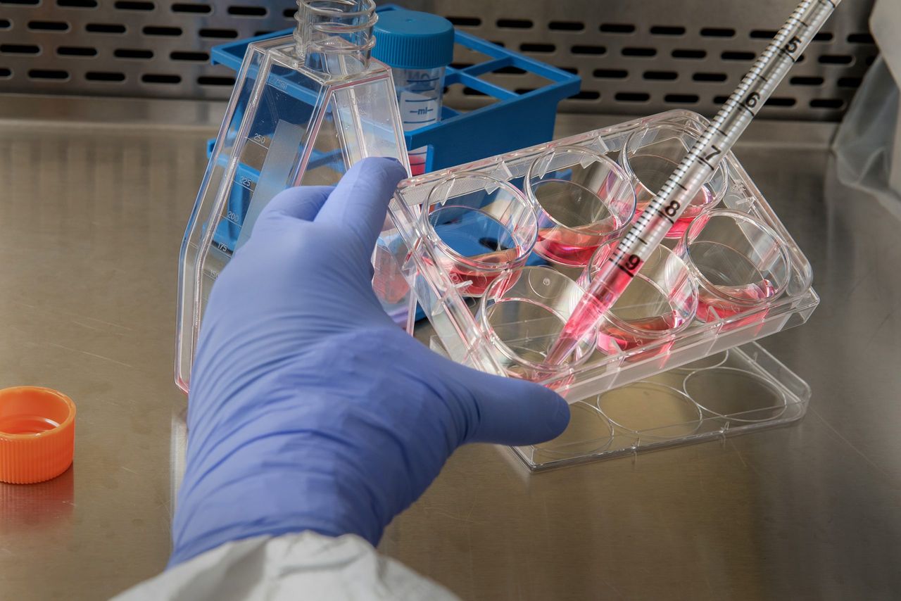 Bimeda expands further with acquisition of Afrivet
