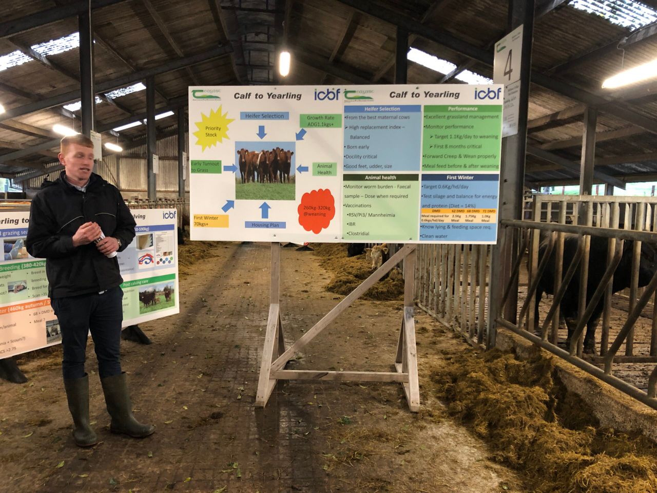 Busting the myths around earlier calving