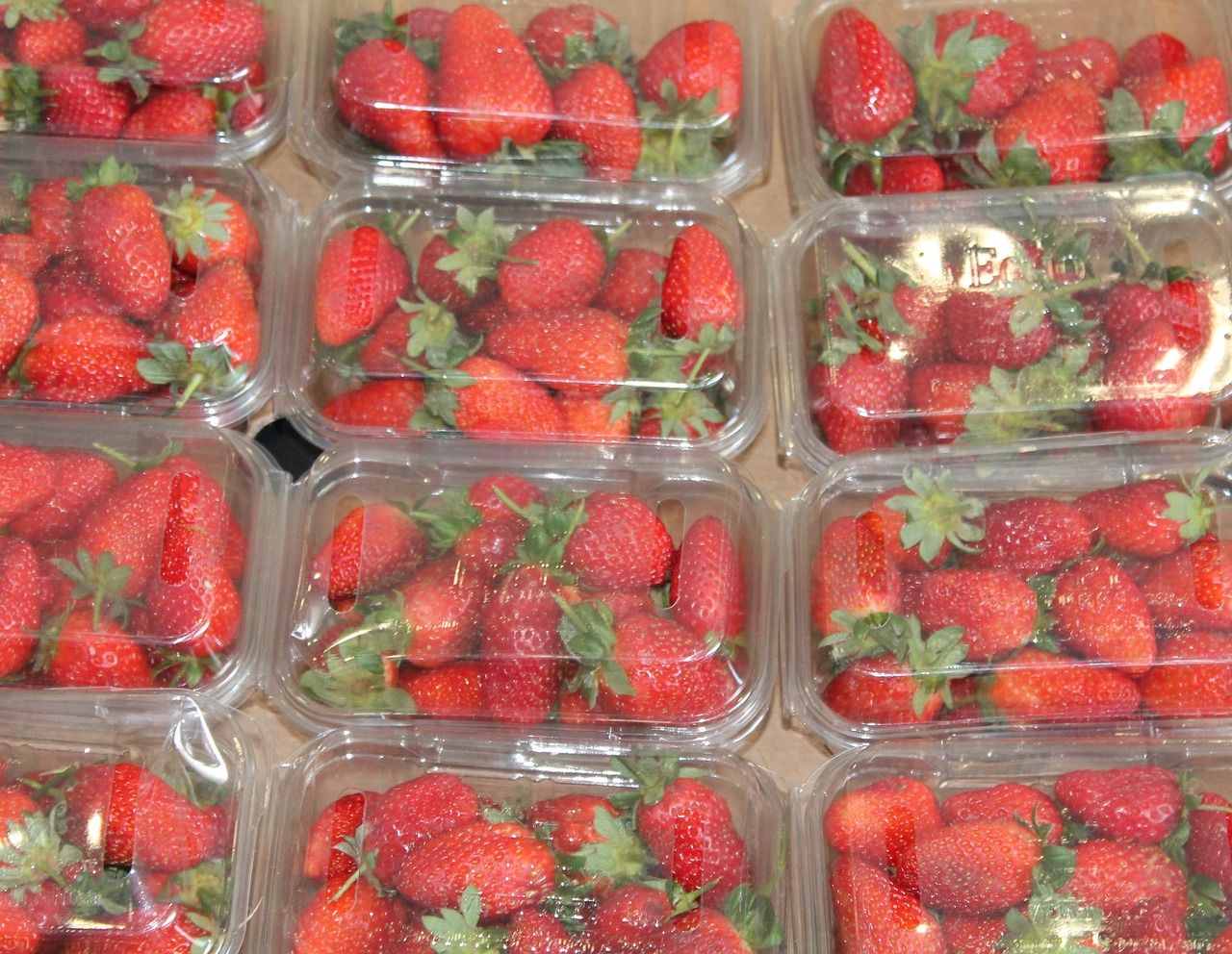 'Relief' for farmers as MEPs vote on packaging waste
