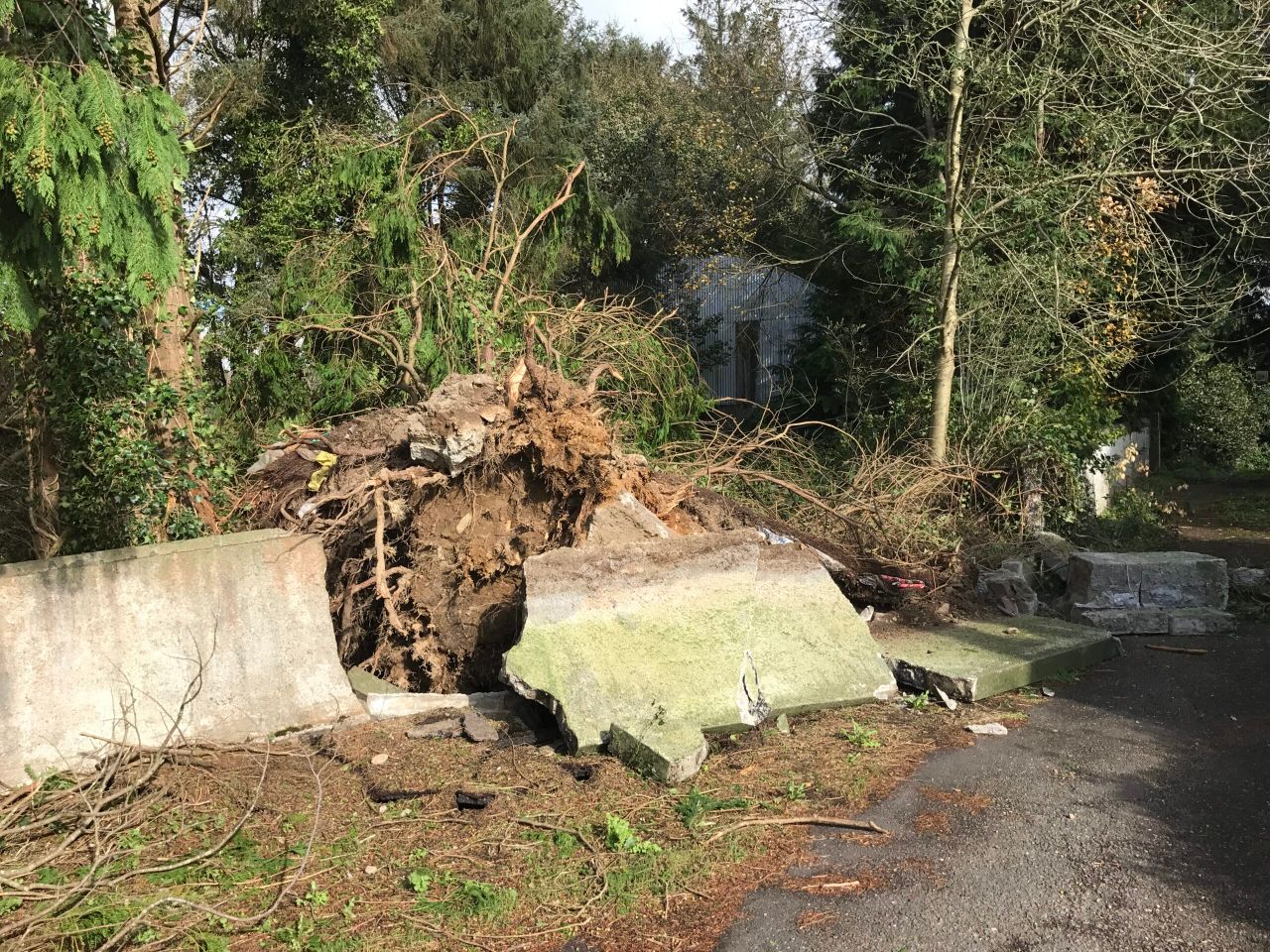 Pics: Scenes of destruction in Cork as farmers count the cost of Ophelia