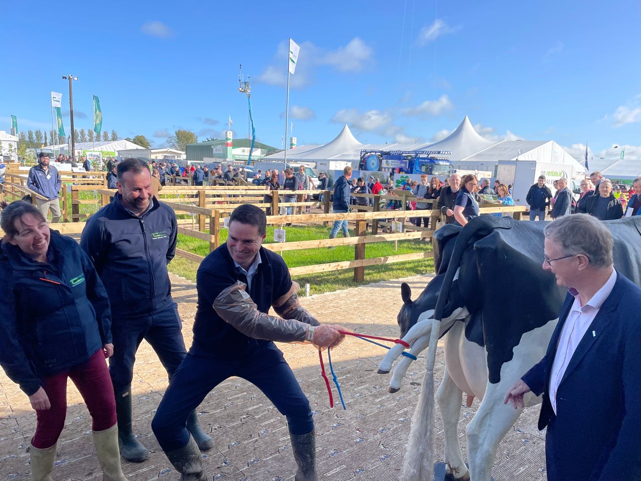 Teagasc to roll out bovine simulators for farmer training
