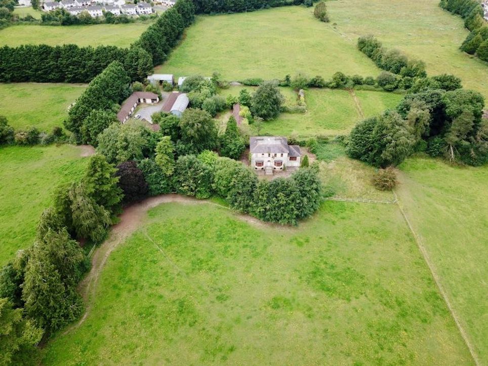 46ac of rural Kildare land hits the property market