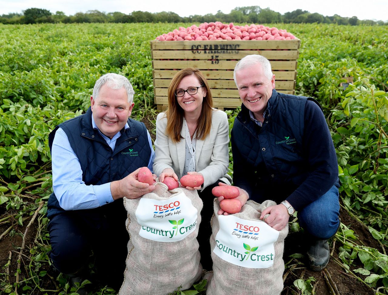 158 million potatoes in Tesco contract
