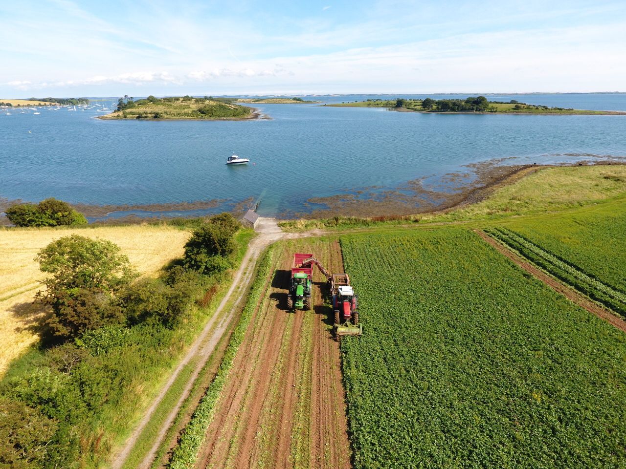 Bracing for Brexit: Innovative veg exporter details plans