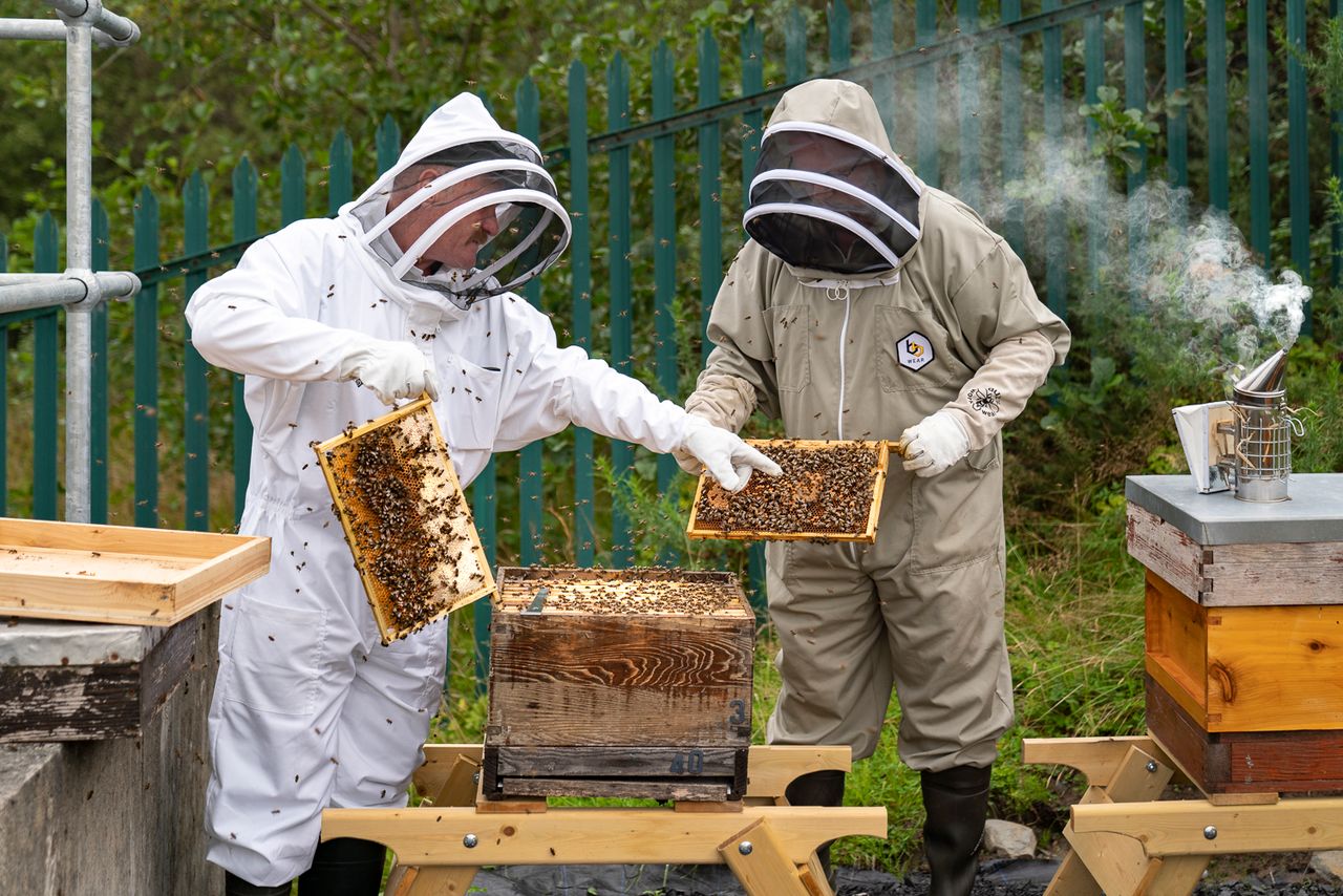 Mayo village reduces pesticide use to improve water quality