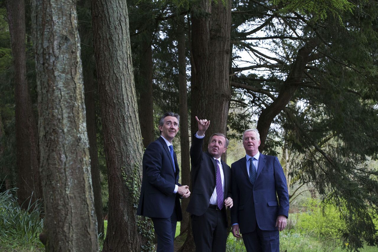 Coillte launches 'risk-free' private forestry initiative