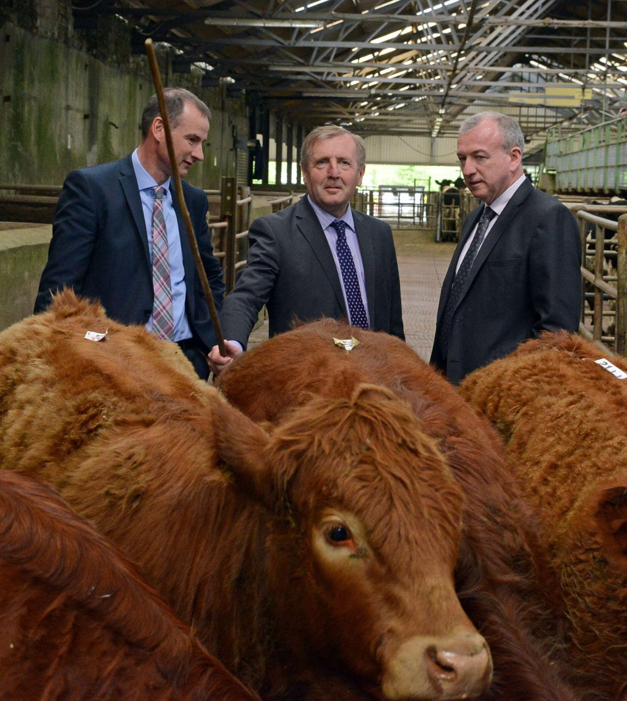 'Customers have the right to know that their food is labelled authentically'