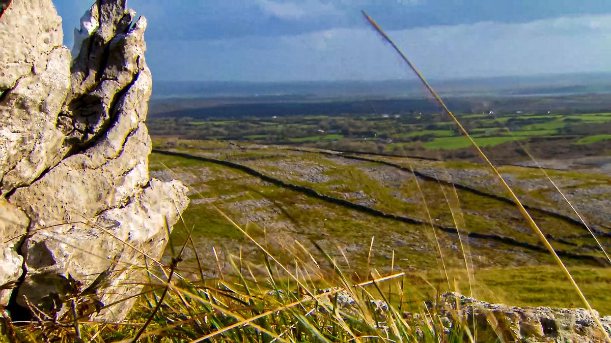 Farmer fined for destruction of limestone pavement