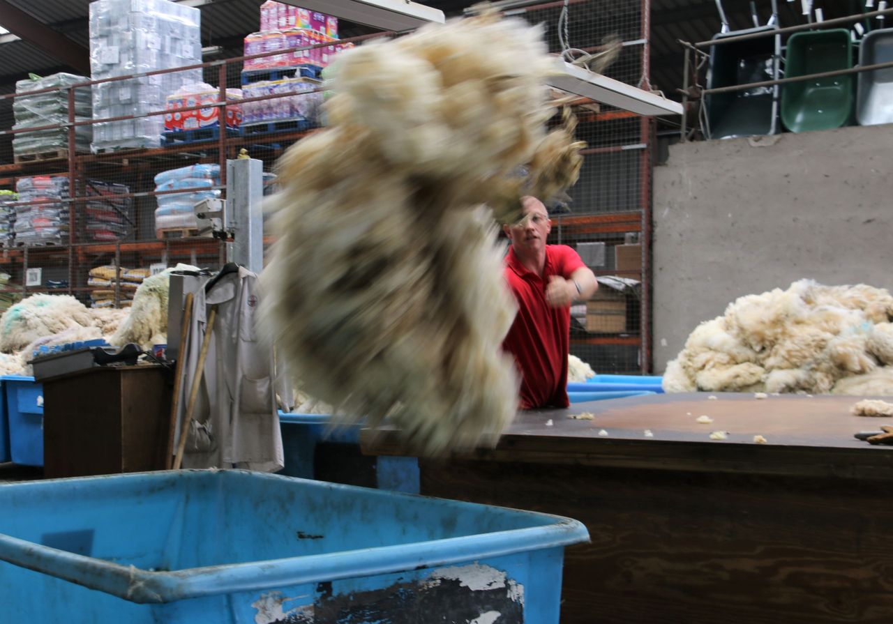 Calls made for establishment of Irish Wool Forum